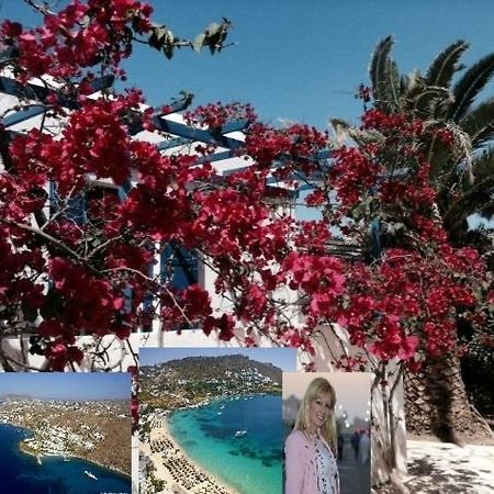 Magical Ornos! Beach House!Beach 1' Walk-Mykonos Town 2Km Eksteriør bilde